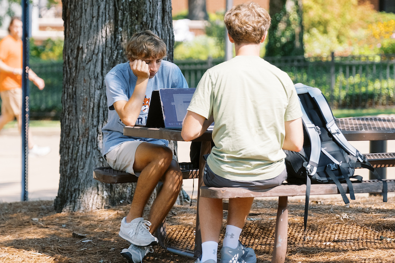 two students sit at a picnic table by a tree looking at their laptops