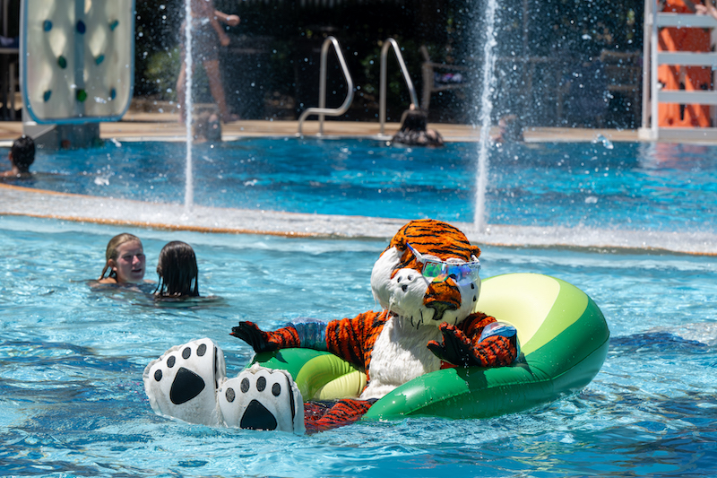 Aubie floating in the pool on a tube
