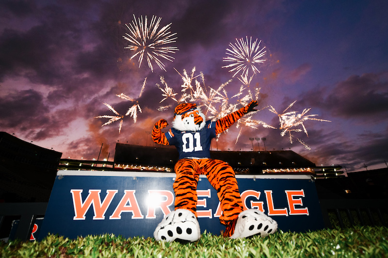Aubie sitting on a sign that says War Eagle while fireworks go off in the sky behind him